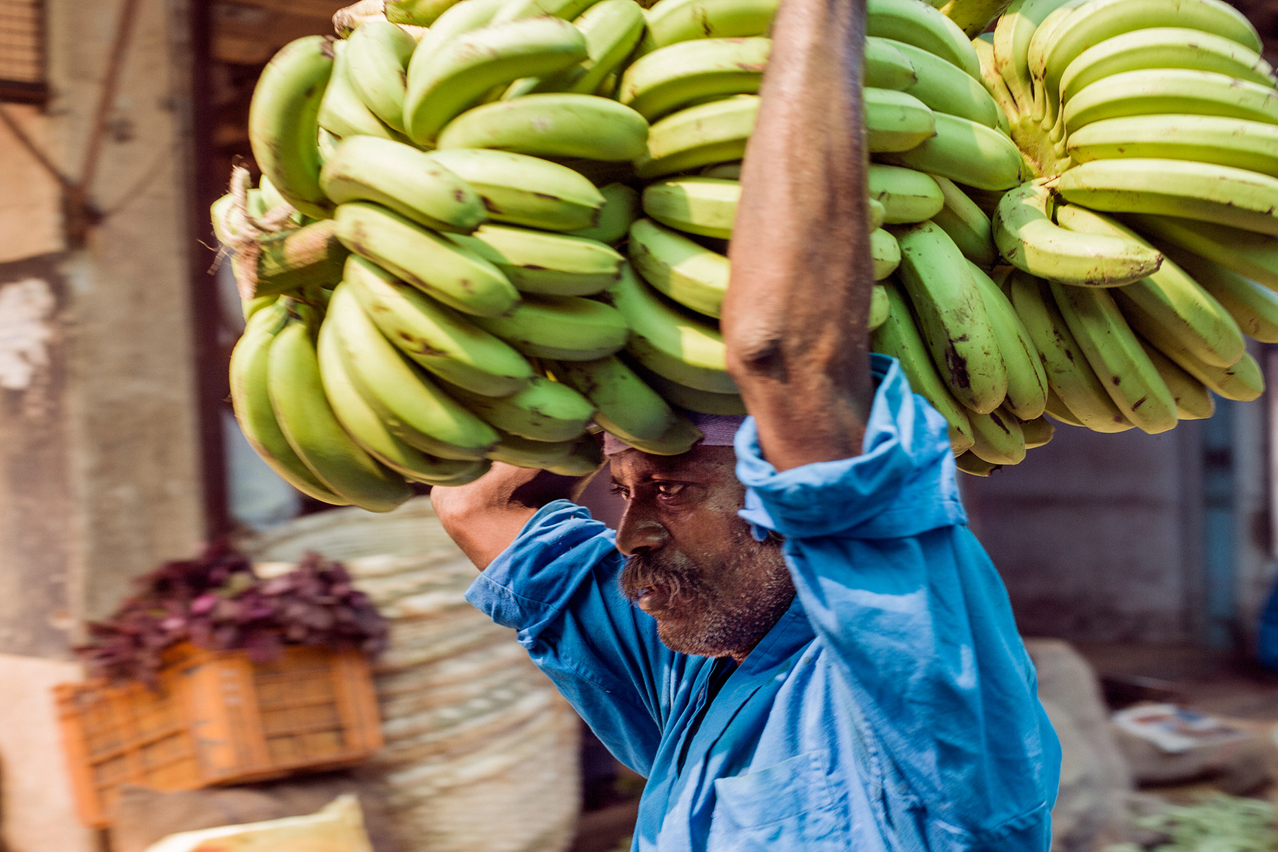 KeralaBananaMan_12-2016